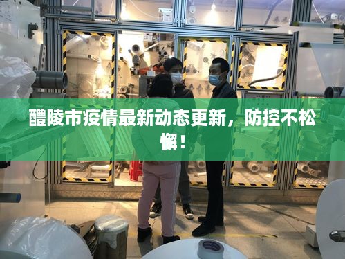 醴陵市疫情最新动态更新，防控不松懈！