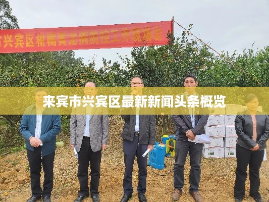 来宾市兴宾区最新新闻头条概览