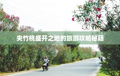 夹竹桃盛开之地的旅游攻略秘籍