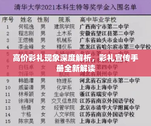 高价彩礼现象深度解析，彩礼宣传手册全新解读