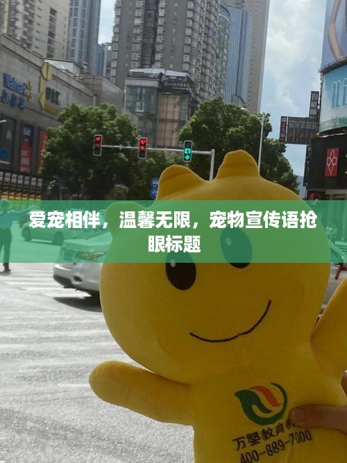 爱宠相伴，温馨无限，宠物宣传语抢眼标题
