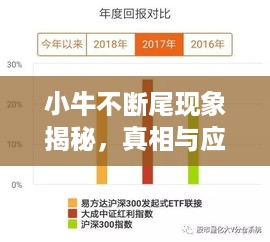 小牛不断尾现象揭秘，真相与应对策略