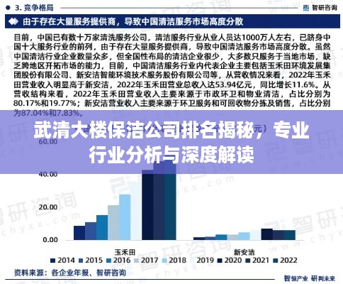 武清大楼保洁公司排名揭秘，专业行业分析与深度解读