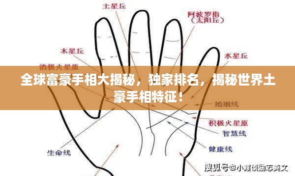 全球富豪手相大揭秘，独家排名，揭秘世界土豪手相特征！