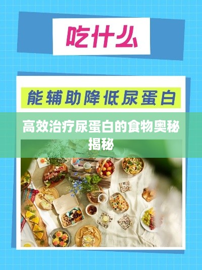 高效治疗尿蛋白的食物奥秘揭秘
