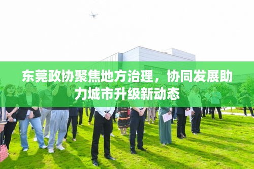 东莞政协聚焦地方治理，协同发展助力城市升级新动态