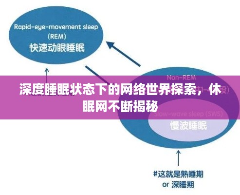 深度睡眠状态下的网络世界探索，休眠网不断揭秘