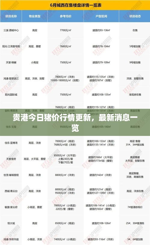 贵港今日猪价行情更新，最新消息一览