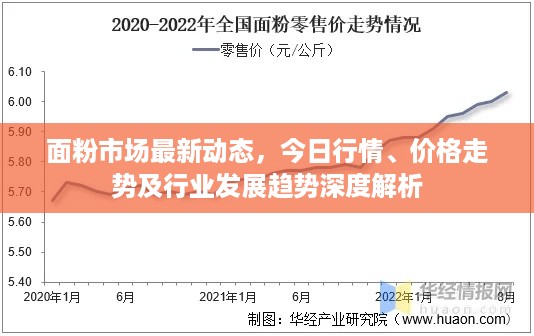 面粉市场最新动态，今日行情、价格走势及行业发展趋势深度解析