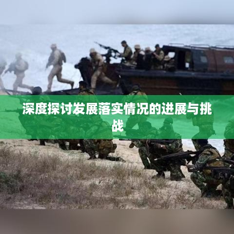 深度探讨发展落实情况的进展与挑战