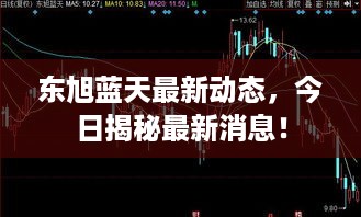 东旭蓝天最新动态，今日揭秘最新消息！