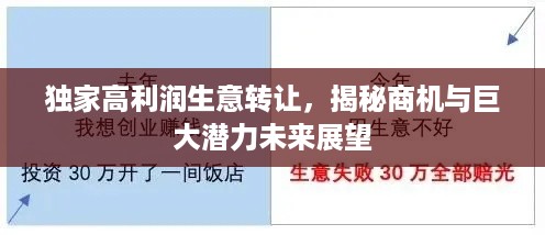 独家高利润生意转让，揭秘商机与巨大潜力未来展望