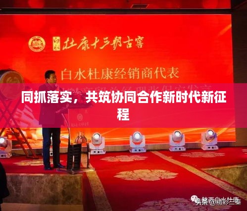 同抓落实，共筑协同合作新时代新征程