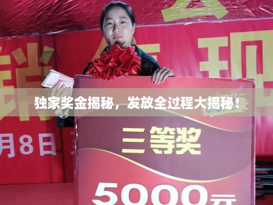 独家奖金揭秘，发放全过程大揭秘！