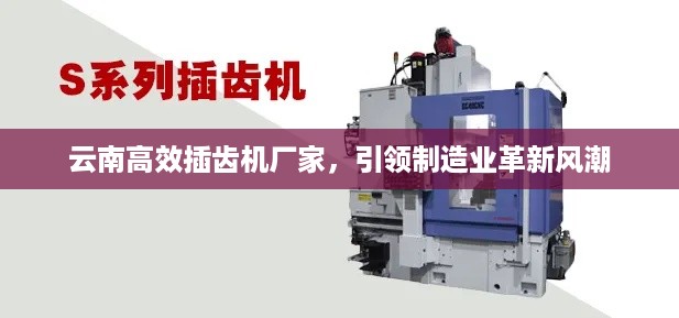 云南高效插齿机厂家，引领制造业革新风潮