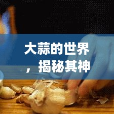 大蒜的世界，揭秘其神奇功效，了解最新动态！