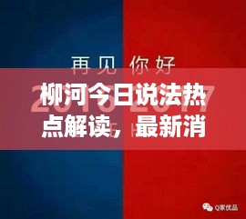 柳河今日说法热点解读，最新消息揭秘！