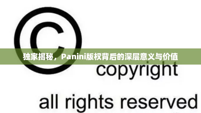 独家揭秘，Panini版权背后的深层意义与价值