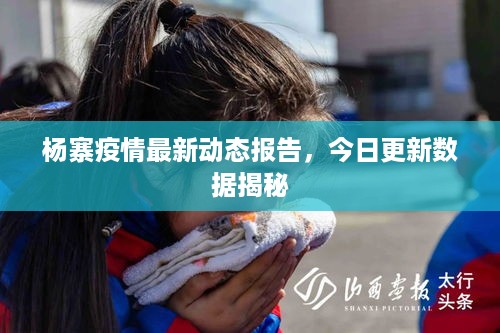 杨寨疫情最新动态报告，今日更新数据揭秘