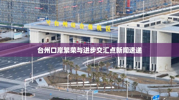 台州口岸繁荣与进步交汇点新闻速递