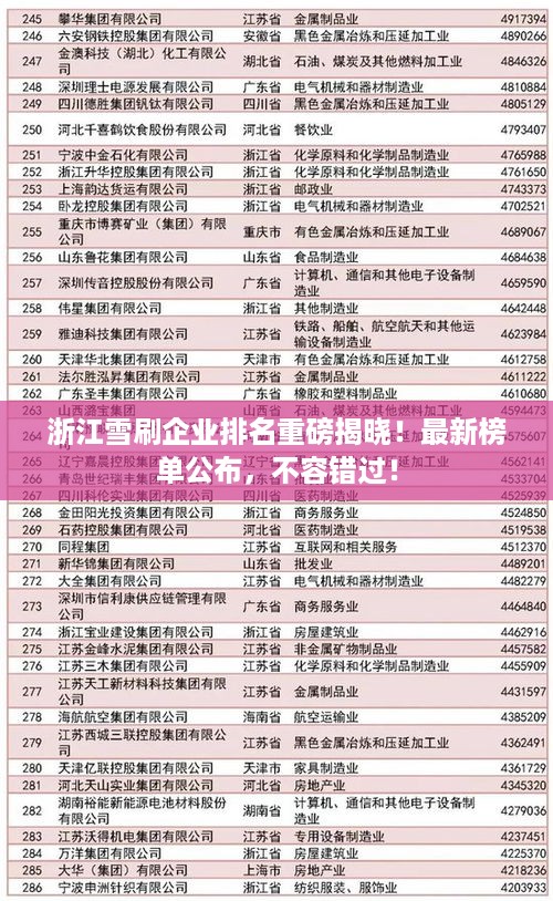 浙江雪刷企业排名重磅揭晓！最新榜单公布，不容错过！