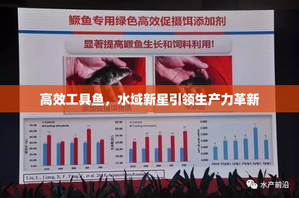 高效工具鱼，水域新星引领生产力革新