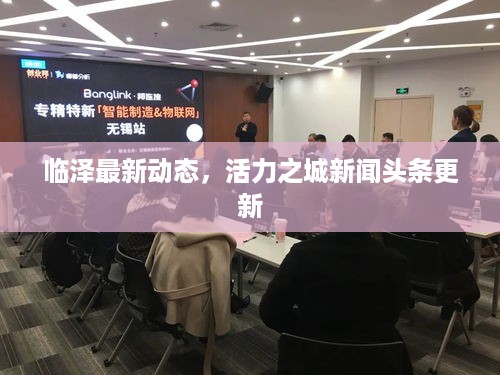 临泽最新动态，活力之城新闻头条更新