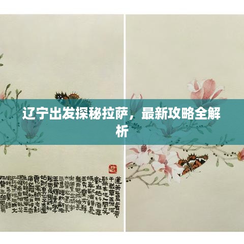 辽宁出发探秘拉萨，最新攻略全解析