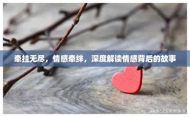 牵挂无尽，情感牵绊，深度解读情感背后的故事