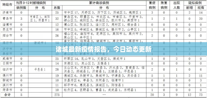 诸城最新疫情报告，今日动态更新