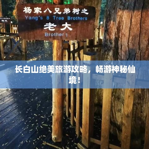 长白山绝美旅游攻略，畅游神秘仙境！