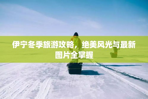 伊宁冬季旅游攻略，绝美风光与最新图片全掌握