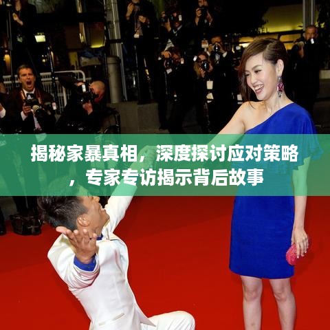 揭秘家暴真相，深度探讨应对策略，专家专访揭示背后故事