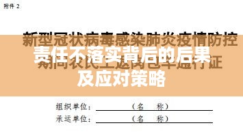 责任不落实背后的后果及应对策略