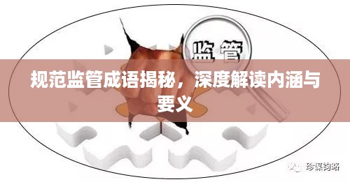 规范监管成语揭秘，深度解读内涵与要义