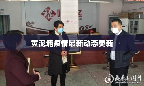 黄泥塘疫情最新动态更新