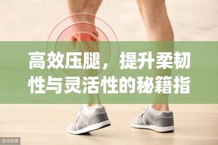 高效压腿，提升柔韧性与灵活性的秘籍指南