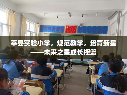 莘县实验小学，规范教学，培育新星——未来之星成长摇篮