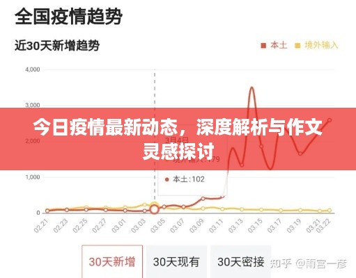 今日疫情最新动态，深度解析与作文灵感探讨