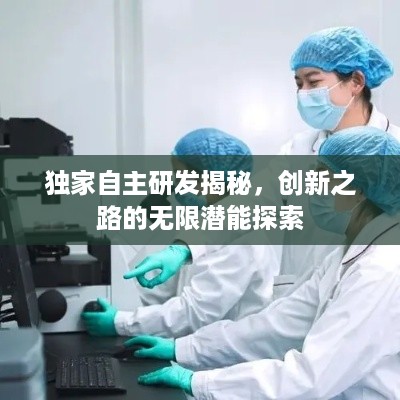 独家自主研发揭秘，创新之路的无限潜能探索