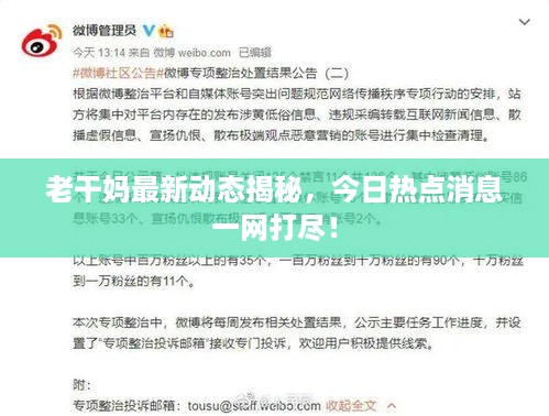 老干妈最新动态揭秘，今日热点消息一网打尽！