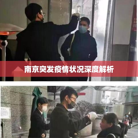 南京突发疫情状况深度解析