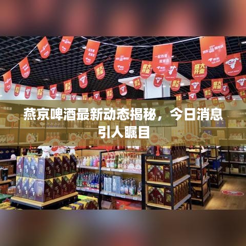 燕京啤酒最新动态揭秘，今日消息引人瞩目