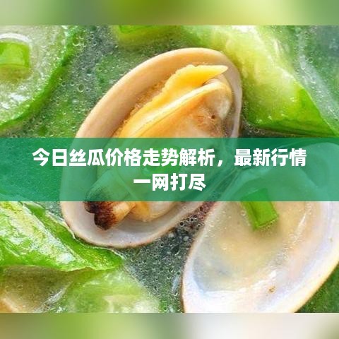 今日丝瓜价格走势解析，最新行情一网打尽