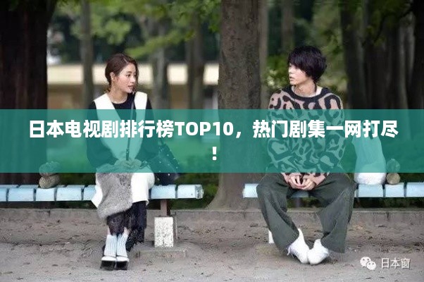 日本电视剧排行榜TOP10，热门剧集一网打尽！