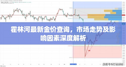 霍林河最新金价查询，市场走势及影响因素深度解析