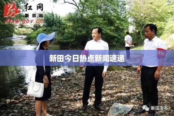 新田今日热点新闻速递