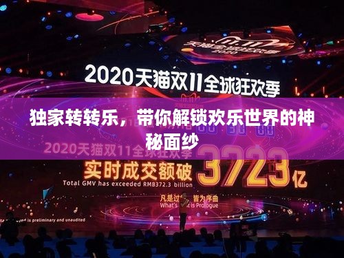 独家转转乐，带你解锁欢乐世界的神秘面纱