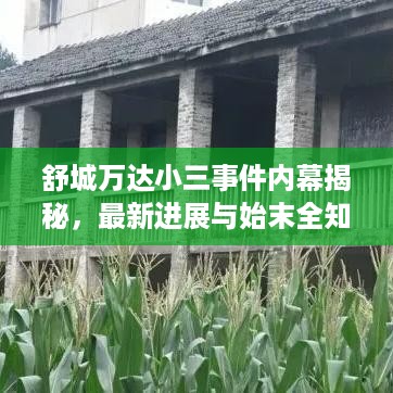 舒城万达小三事件内幕揭秘，最新进展与始末全知道