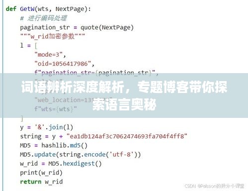 词语辨析深度解析，专题博客带你探索语言奥秘